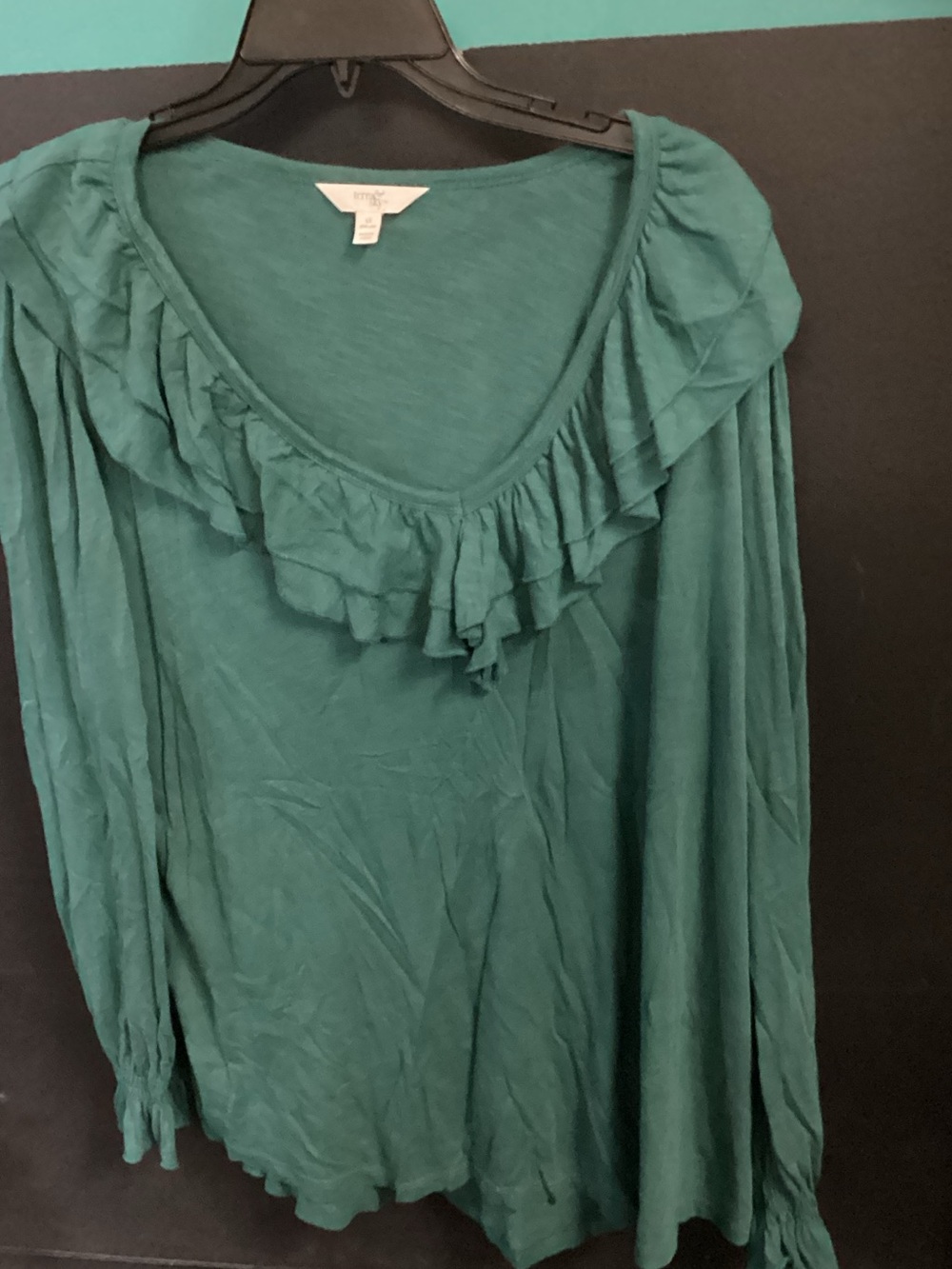 Terra & Sky Teal Ruffle Scoop Neck Long-Sleeve Top